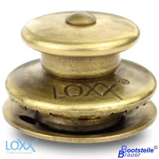 Loxx&reg; upper part big head - Vintage brass