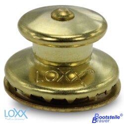 Loxx® upper part big head - Brass blank