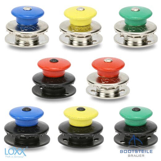 Loxx ® partie supérieure grosse tête, colorée 4 mm