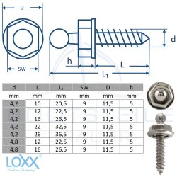 Loxx® vis avec bois filetage 4,8 x 16 mm - Laiton nickler