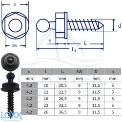 LOXX®  tapping screw 4,2 mm - Black Chrome