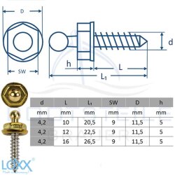 LOXX® screw with stainless steel wood thread 4,2 x 12 mm - Brass blank