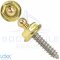 LOXX® screw with stainless steel wood thread 4,2 x 16 mm - Brass blank