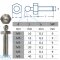 LOXX® screw with metric thread M5 x 10 - Stainless steel