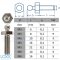 LOXX® screw with metric thread M5 x 22 - Nickel