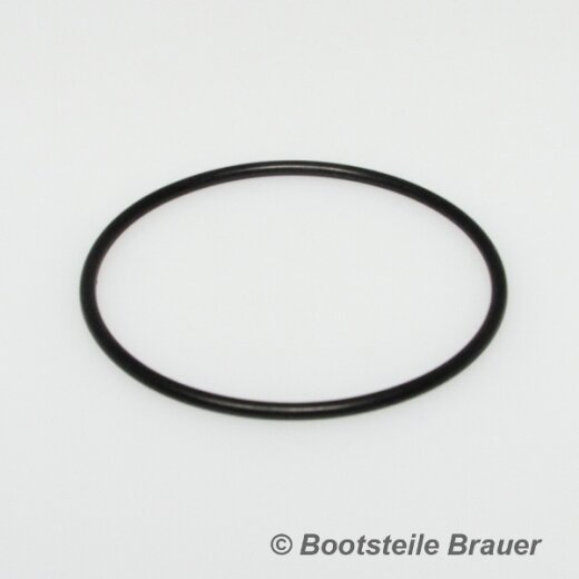 Dichtungsring Wasserpumpe 160250075 Neptun 23